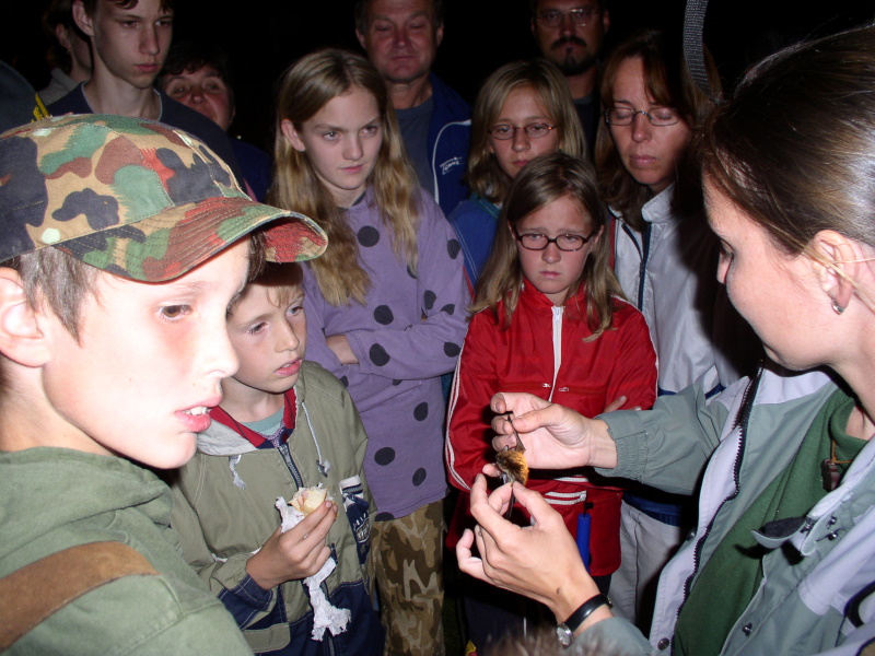 Netopýří noc na Šelmerku 2004